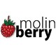 Aromas Molin Berry